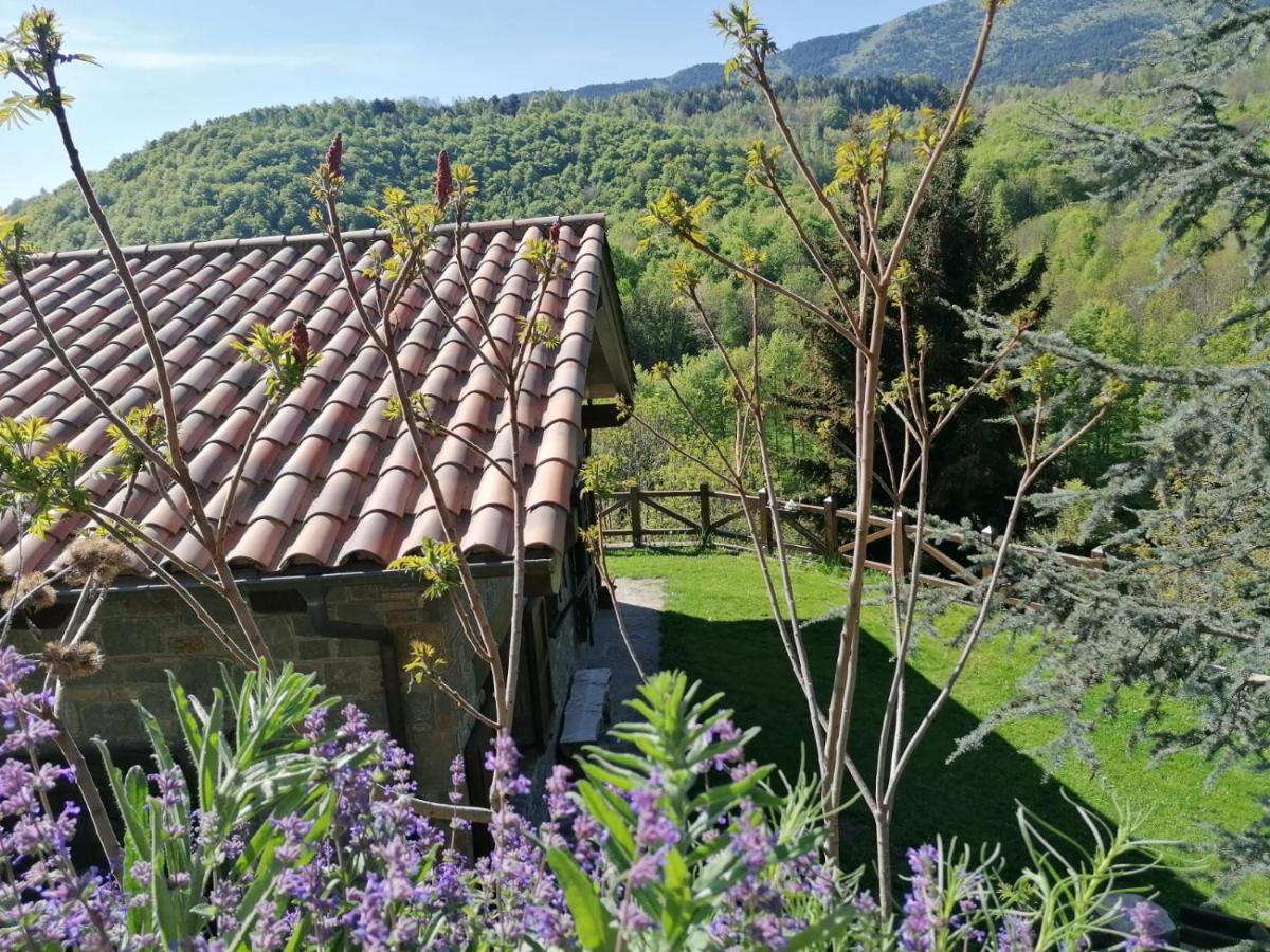 Les Pedres Villa Camprodon Exteriör bild