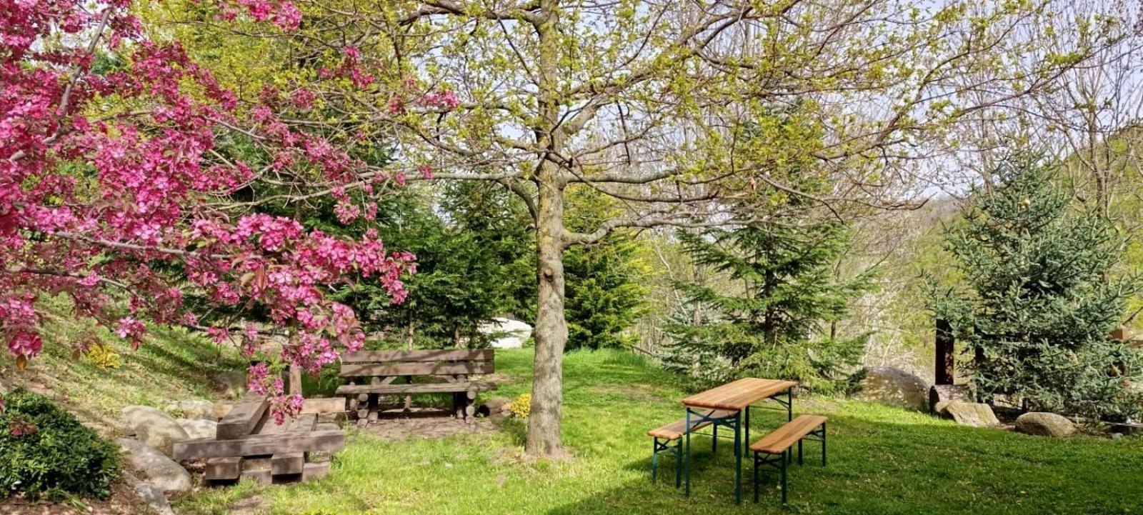 Les Pedres Villa Camprodon Exteriör bild